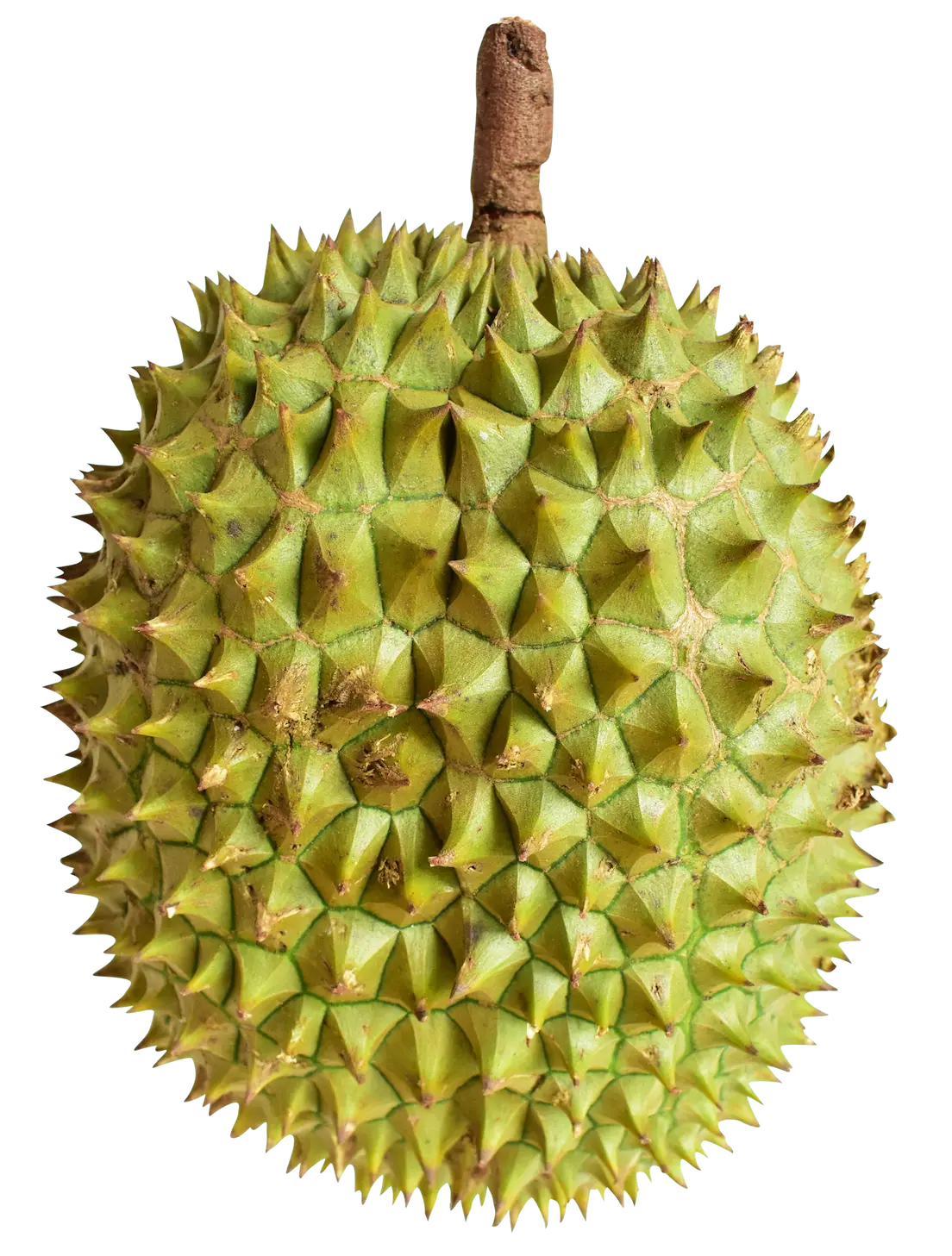 41ac0e8f876be4ad1a60804f571da13c553f1d00