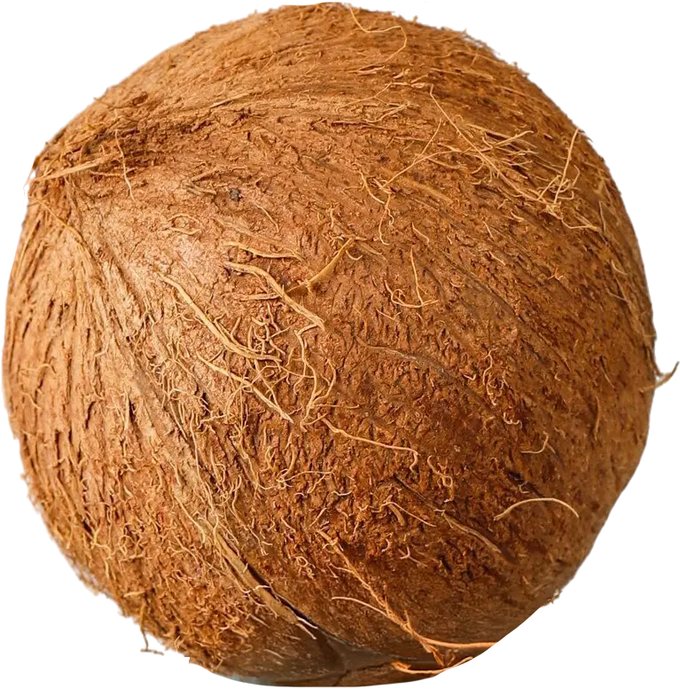 33ebd5312e586d62f1f5cd7ed86e49812b760942