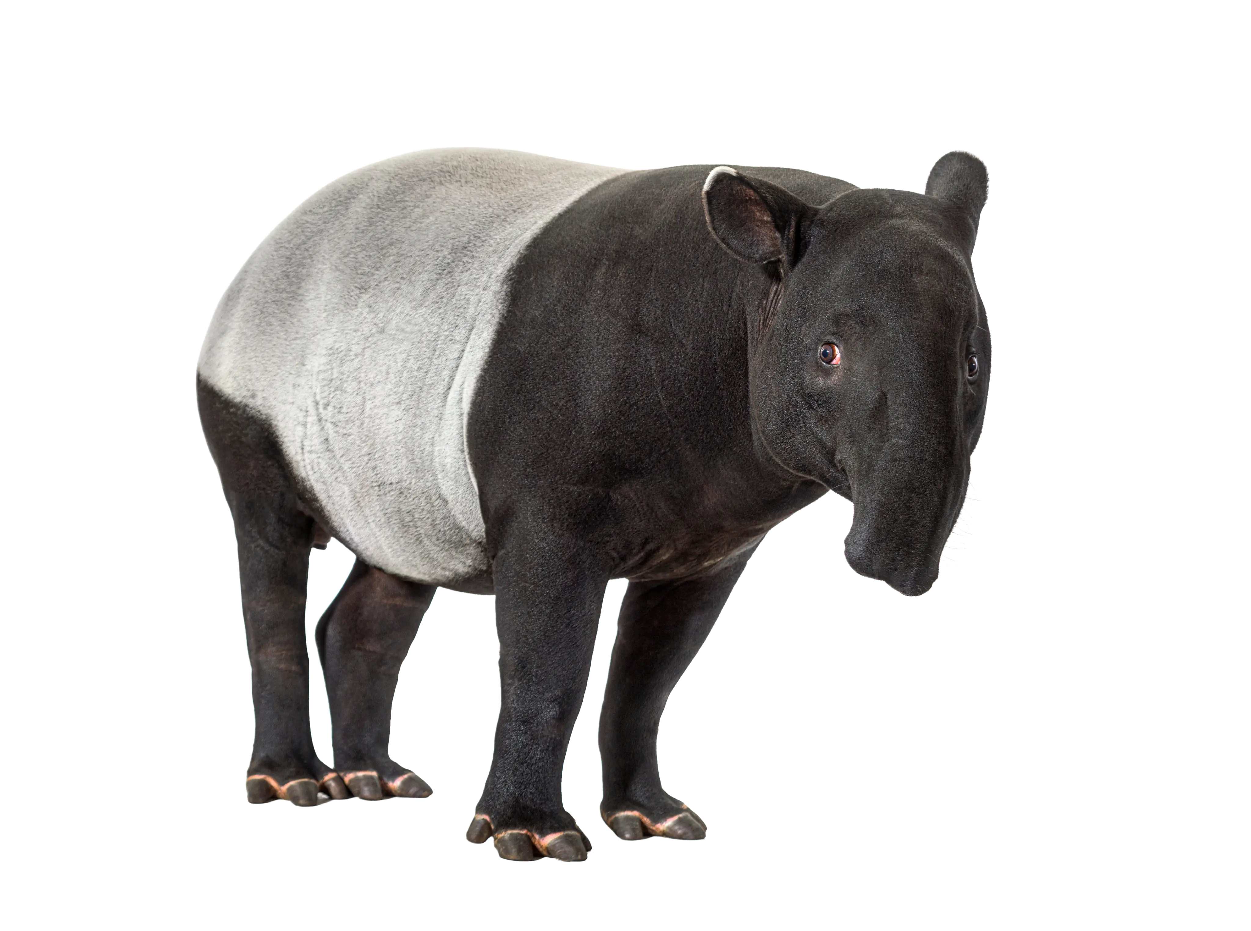 9e0ff5a7fb29d6b7494e799596297e184554ff44