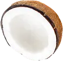 Coconut 2