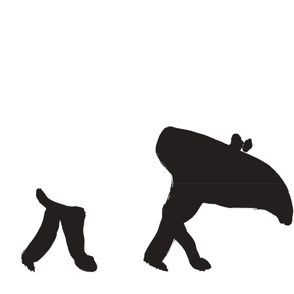 black-tapir-2