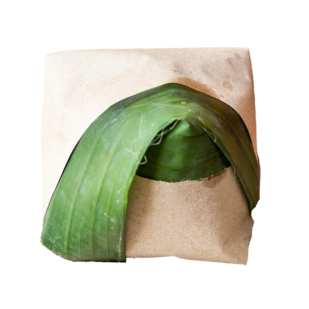 malaysian-image-Artboard 2-MAD-