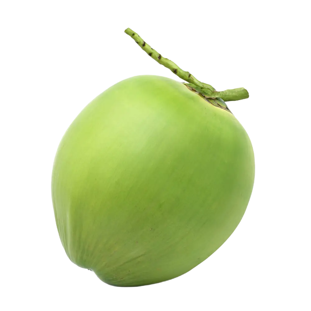 malaysian-image-Artboard 5-MAD-