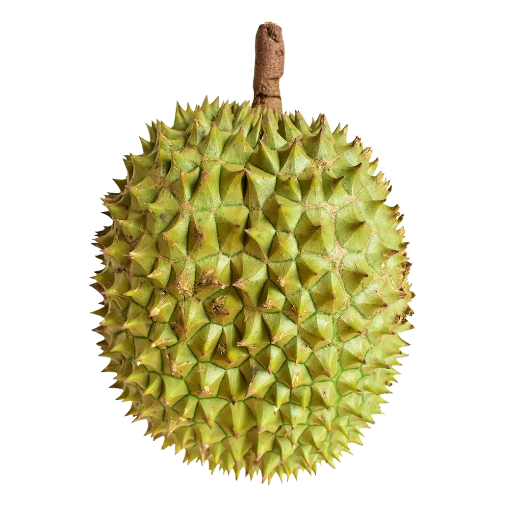 malaysian-image-Artboard 6-MAD-